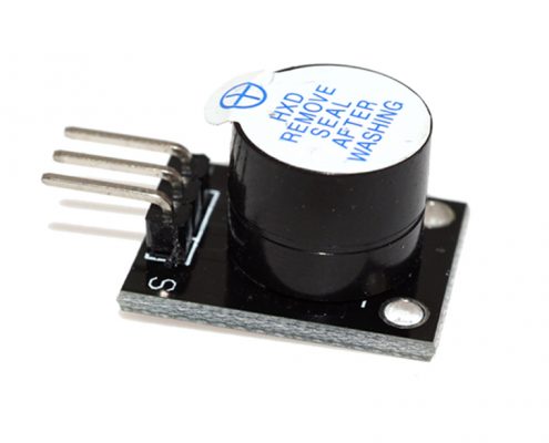 alarm speaker module