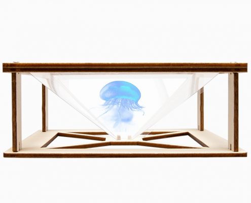 holographic projection