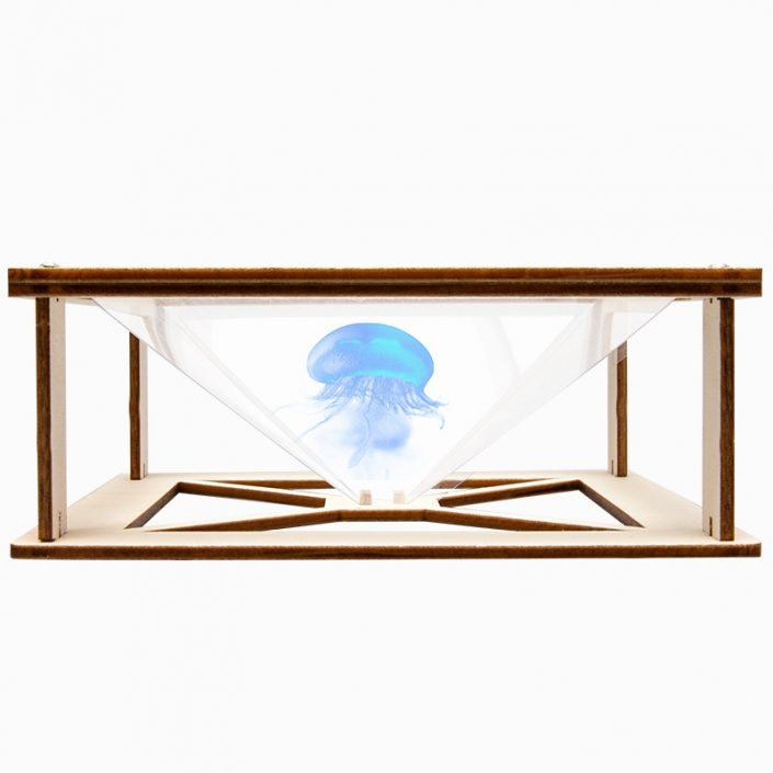 holographic-projection holographic projection