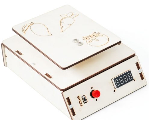 electronic scale