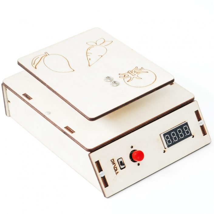 electronic-scale electronic scale