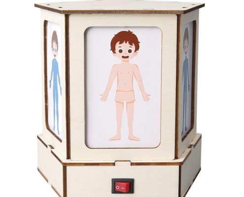 human body structure observation light