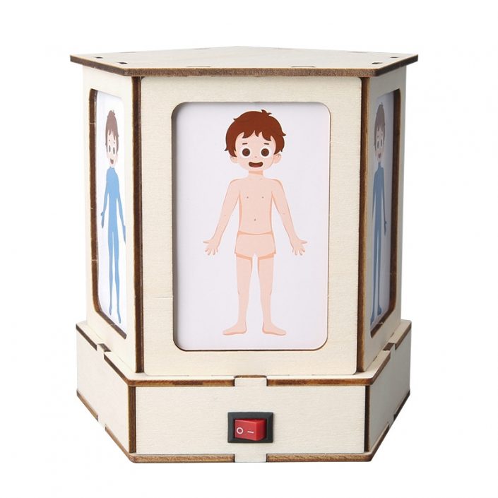 human-body-structure-observation-light human body structure observation light